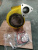 Водяной насос Komatsu D155/355A 6212-61-1200, 6212-61-1201, 6212-61-1202, 6212-61-1203, 6212-61-1204, 6212-61-1205, 6212-62-2100
